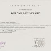 DU pathologies neuro - fonctionnelles (fac Dijon 2006)